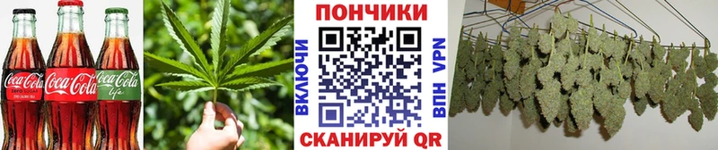где купить   Ковров  Еда ТГК марихуана 
