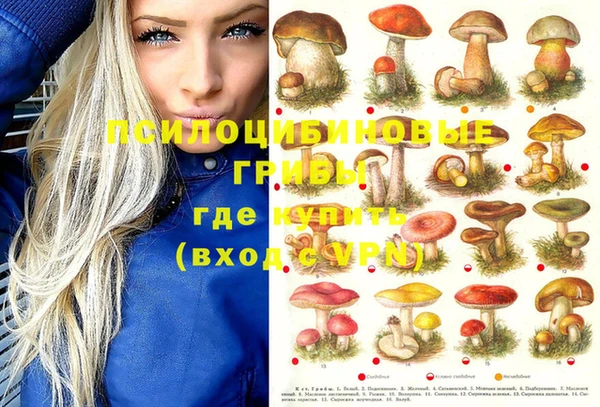 молекула духа Киренск