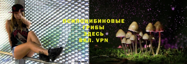 крисы Карпинск