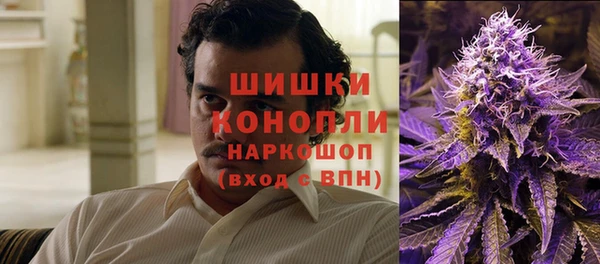 молекула духа Киренск