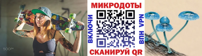 Псилоцибиновые грибы Psilocybe  blacksprut рабочий сайт  Ковров  купить наркотик 